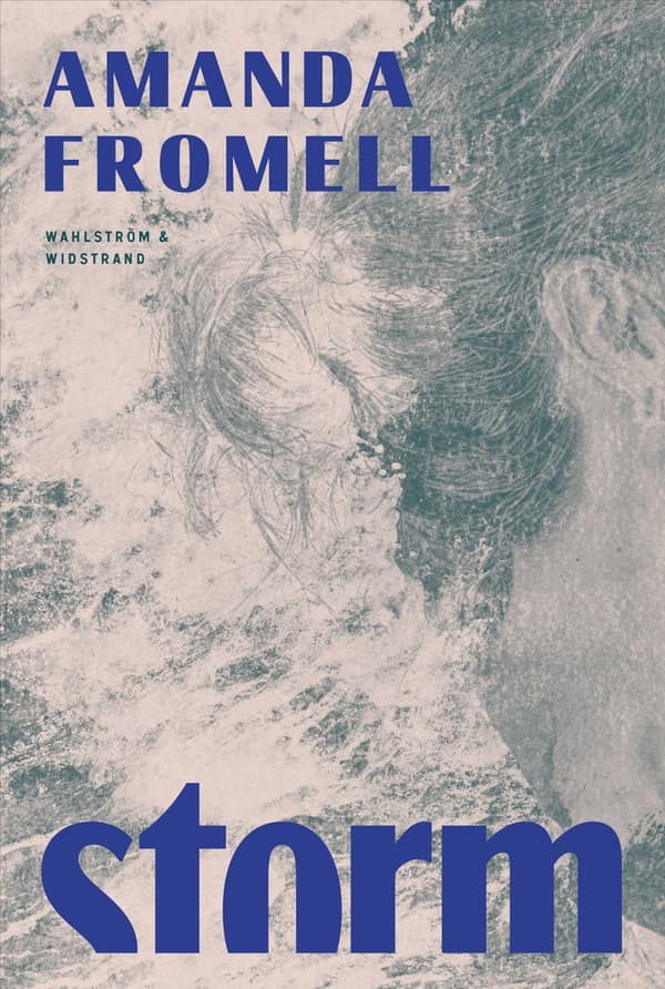 Myrsky (Kirja / Kovakantinen)