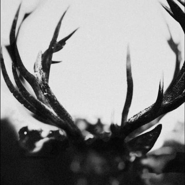 Ihsahn: Ihsahn (CD)