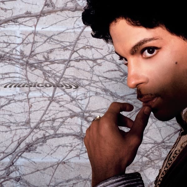 Prince: Musicology (2 Vinyl LP)