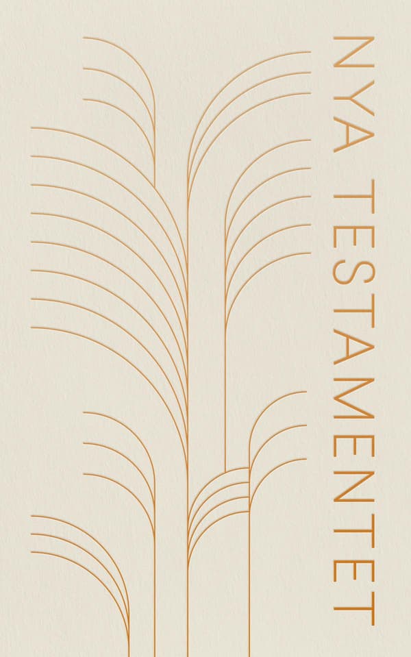 Nya Testamentet 2026 Storpocket (Bok / Häftad)