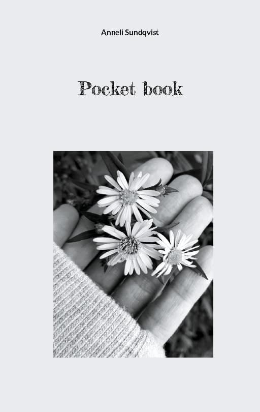 Pocket Book (Bok / Häftad)