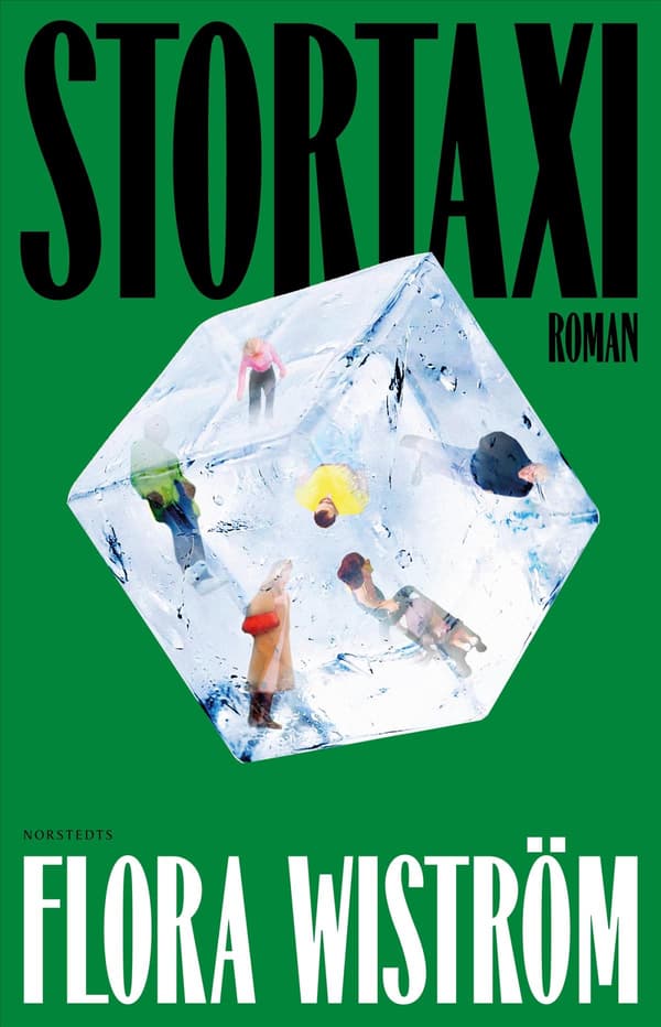 Suurtaksi (Kirja / Kovakantinen)