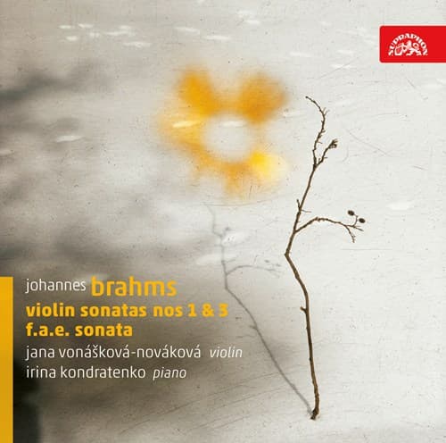 Brahms: Violinsonater (CD)