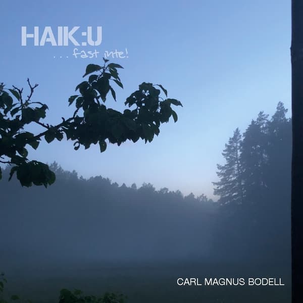Haik-u - Mutta ei (Kirja / Nidottu)