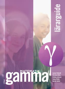 Matematik Gamma Lärarguide (Bok / Häftad)