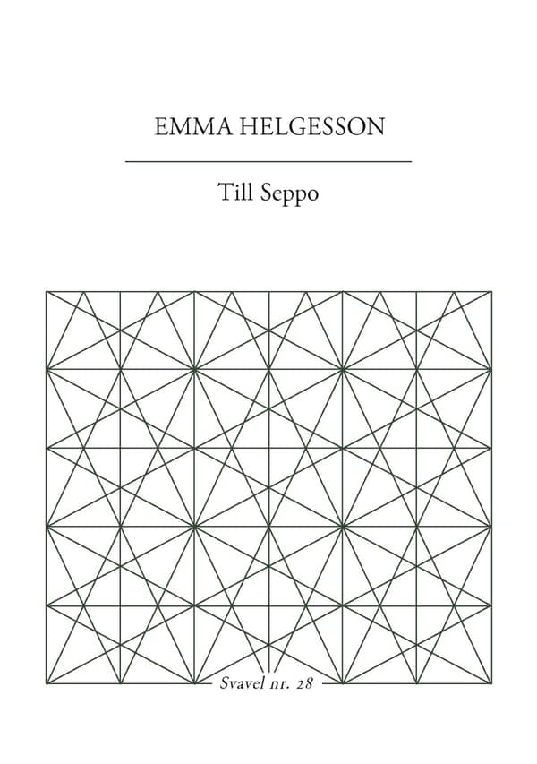 Seppolle (Kirja / Nidottu)