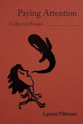 Lynne Tillman- Paying Attention (Bok / Pocket)