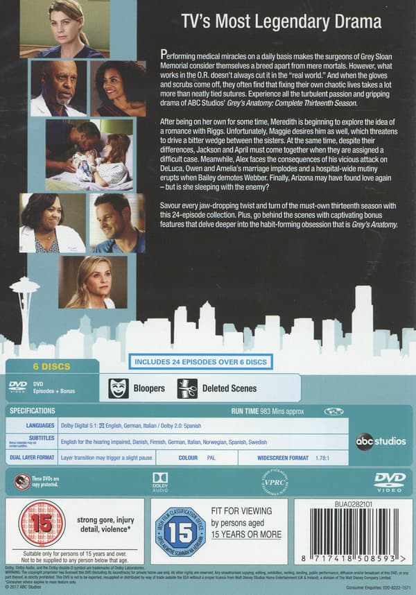 Greyn anatomia / Kausi 13 (6 DVD)