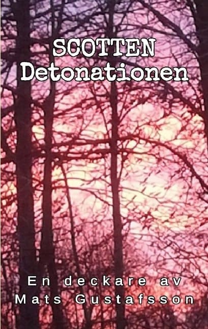 Detonationen (Bok / Häftad)