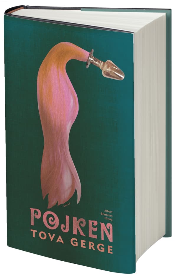Pojken (Bok / Kartonnage)