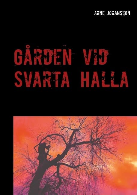 Gården Vid Svarta Halla (Bok / Häftad)