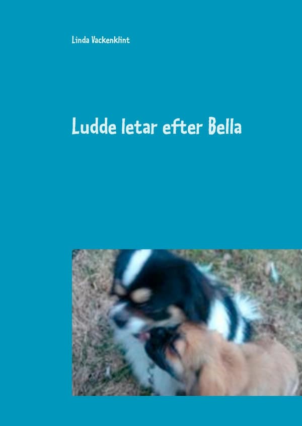 Ludde etsii Bellaa (Kirja / Kovakantinen)