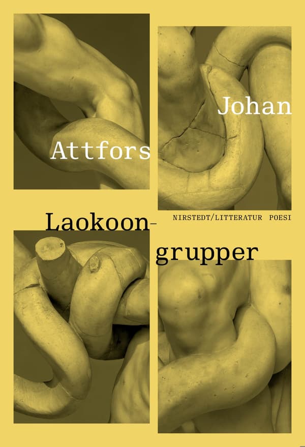 Laokoon-ryhmät (Kirja / Kovakantinen)