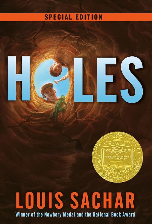 Holes (Bok / Pocket)
