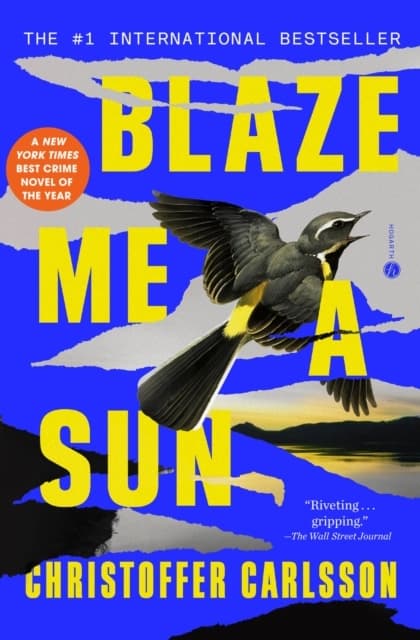 Blaze Me A Sun (Bok / Häftad)