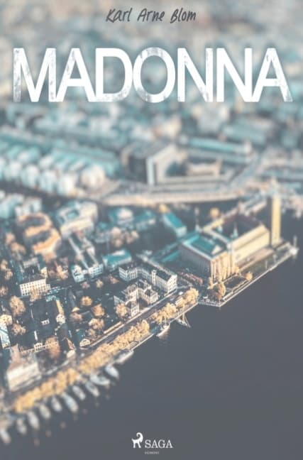Madonna (Bok / Häftad)