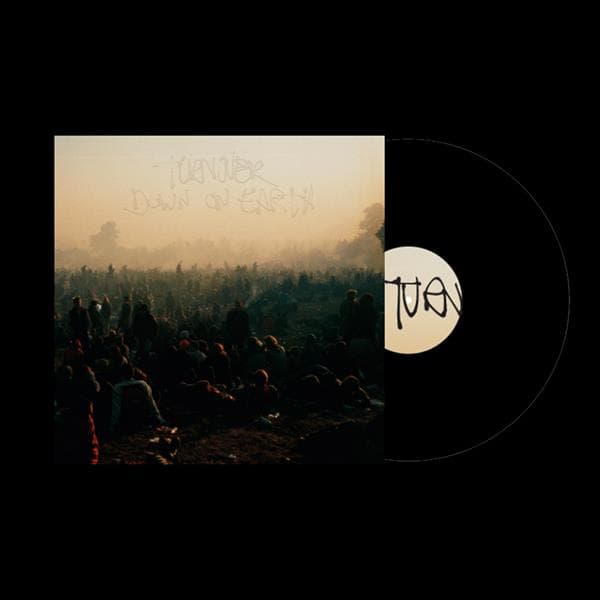 Turnover: Down on Earth (Vinyl LP)