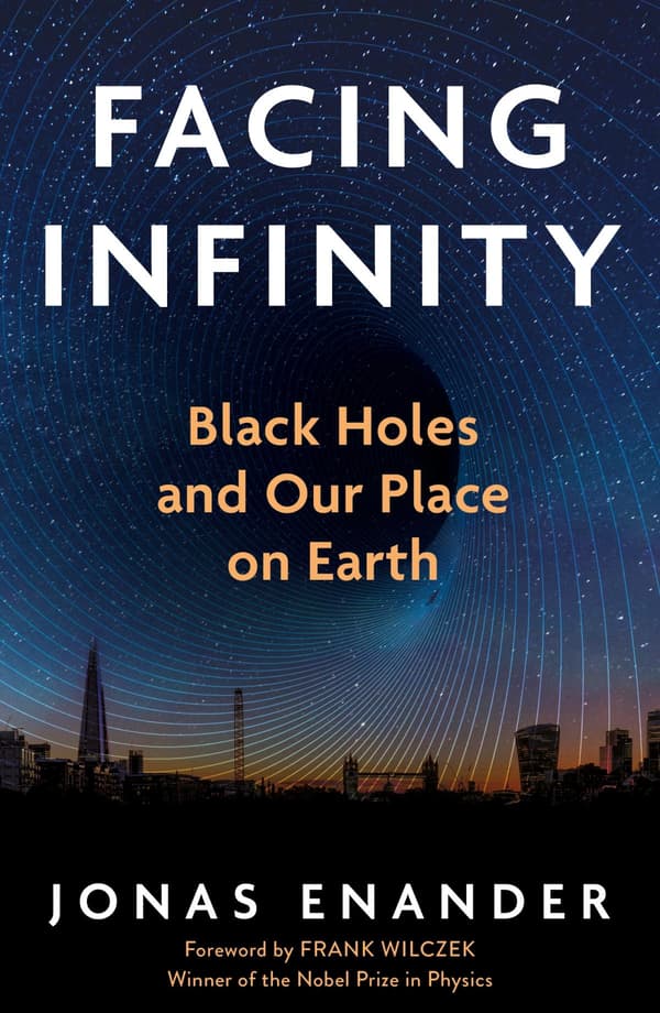 Facing Infinity (Kirja / Pokkari)