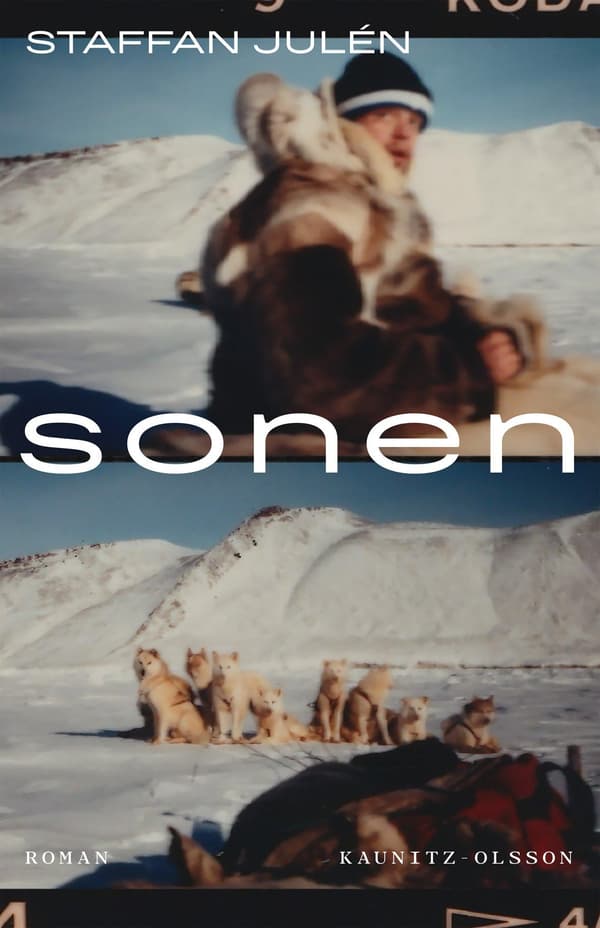 Sonen (Bok / Inbunden)