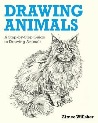 Drawing Animals (Bok / Pocket)