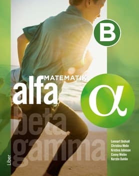 Matematiikka Alfa B-kirja (Kirja / Nidottu)