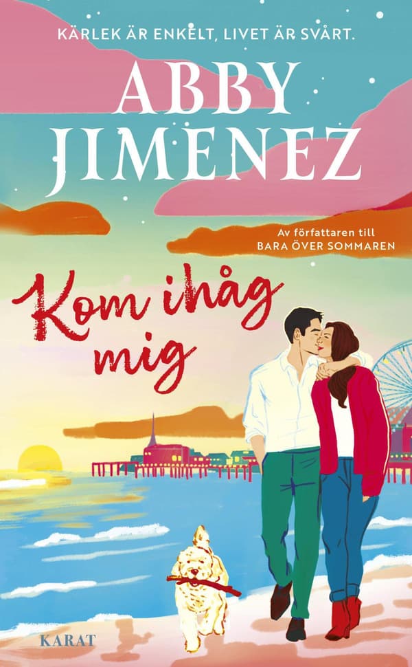 Kom Ihåg Mig (Bok / Pocket)