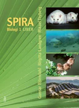 Spira 1 (Kirja / Nidottu)