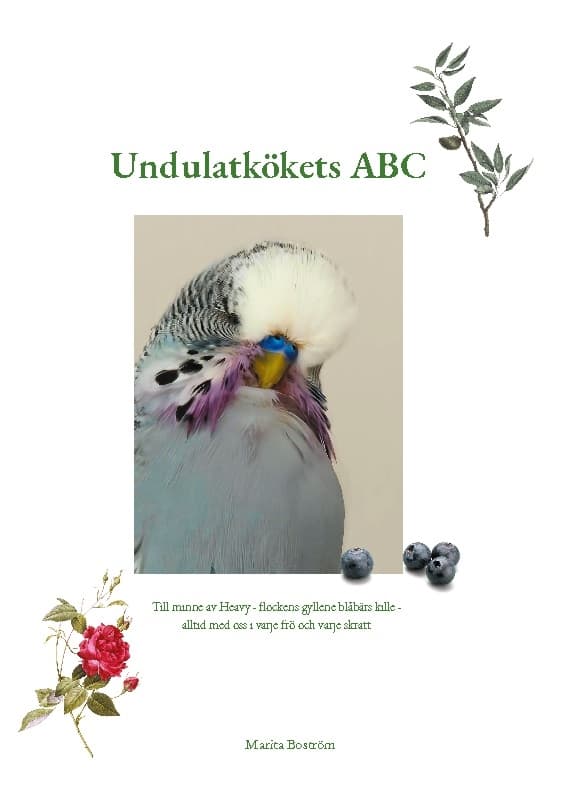 Undulatkökets Abc (Bok / Inbunden)