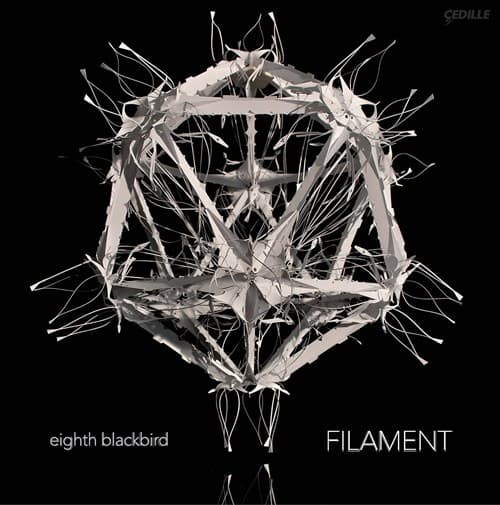 Eighth Blackbird: Filament (Vinyyli-LP)