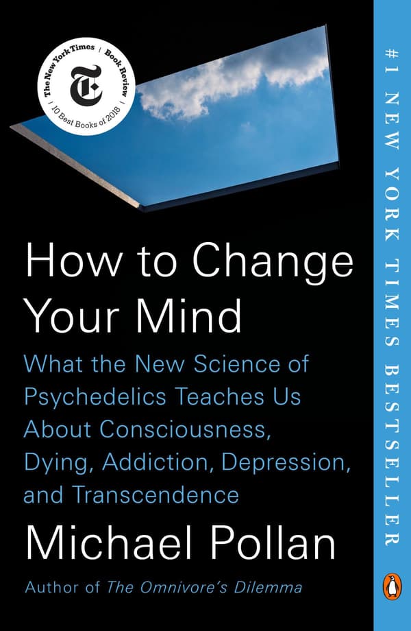 How to Change Your Mind (Bok / Häftad)