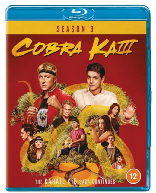 Cobra Kai: Season 3 (2 Blu-ray)