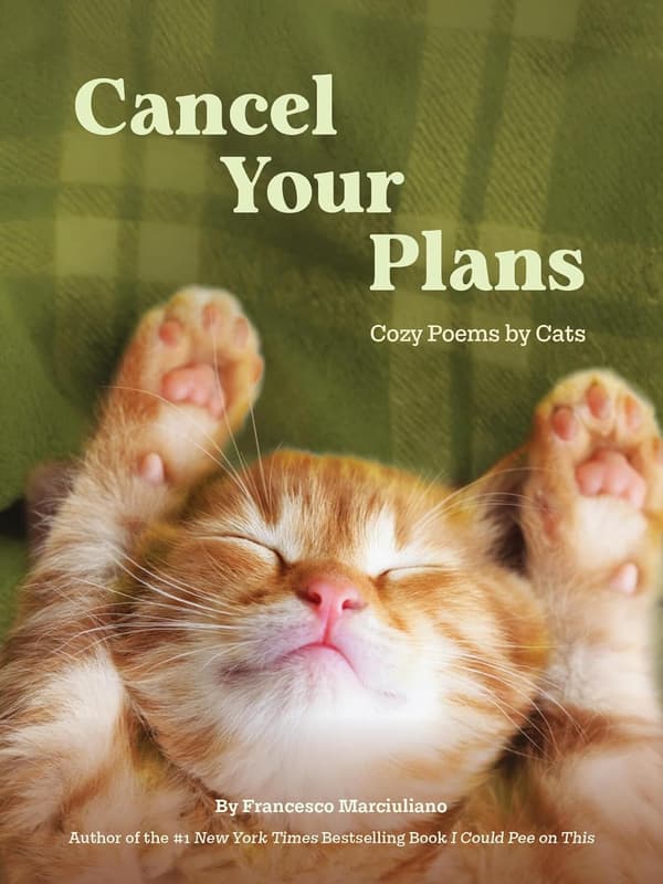 Cancel Your Plans (Kirja / Kovakantinen)