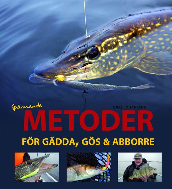 Spännande Metoder För Gädda, Gös Och Abborre (Bok / Inbunden)