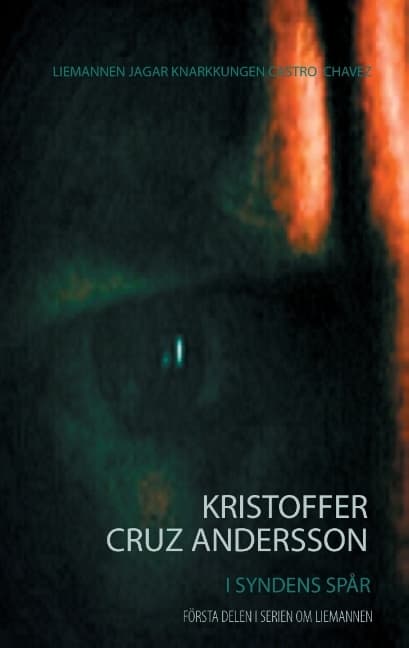 I Syndens Spår (Bok / Häftad)