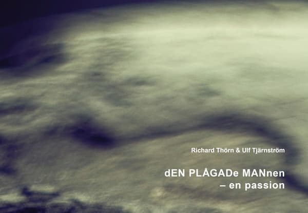 Den Plågade Mannen - En Passion (Bok / Danskt band)
