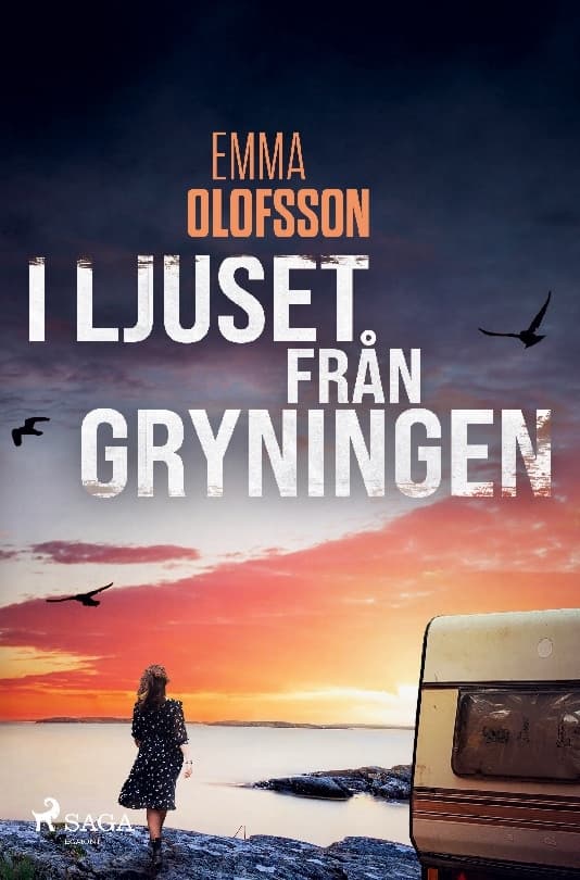 Aamunkoiton valossa (Kirja / Nidottu)