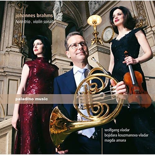 Brahms: Käyrätorvitrio / Viulusonaatit (CD)
