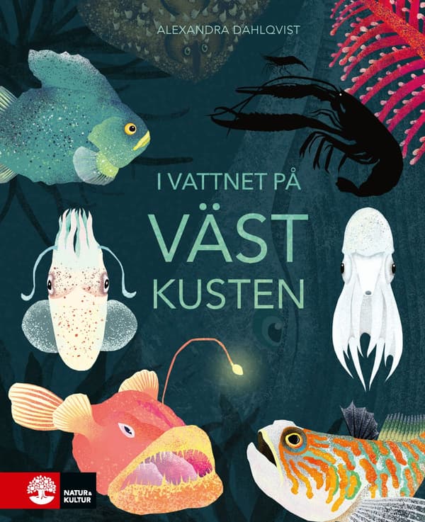 Länsirannikon vesissä (Kirja / Kovakantinen)