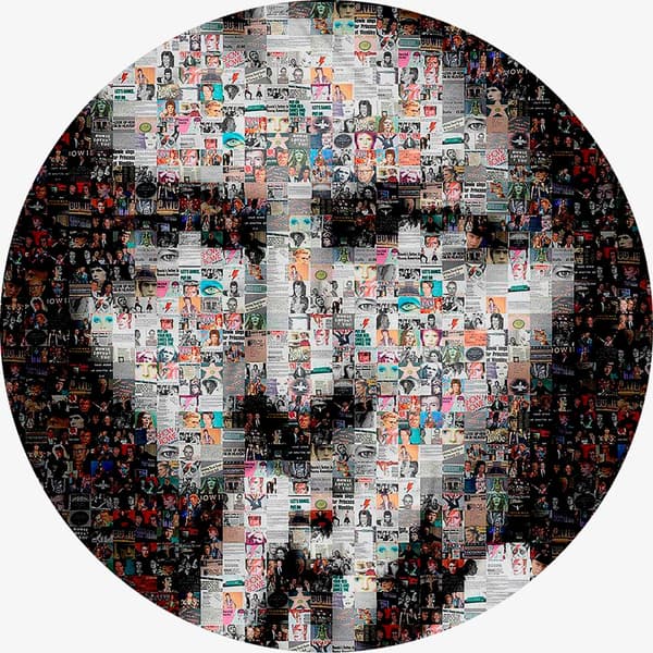 Bowie David: Covers (Picturedisc) (Vinyl LP)