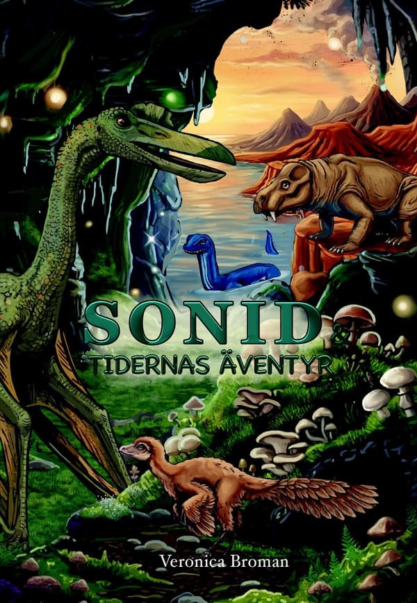 Sonid Och Tidernas Äventyr (Bok / Kartonnage)