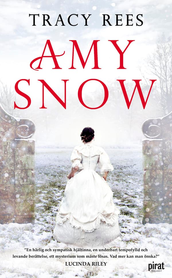 Amy Snow (Bok / Pocket)