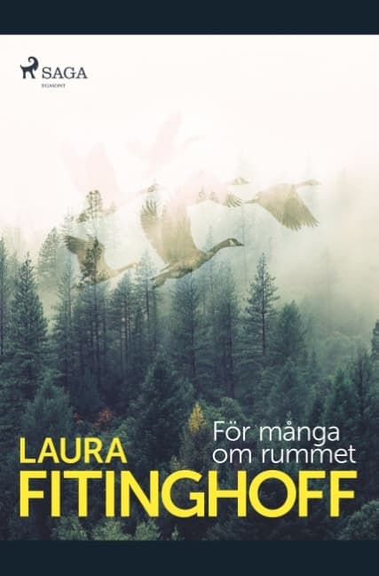 För Många Om Rummet (Bok / Häftad)