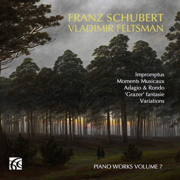 Schubert: Piano Works Vol 7 (2 CD)
