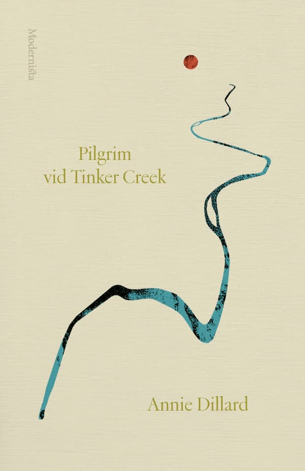 Pilgrim Tinker Creekillä (Kirja / Kovakantinen)