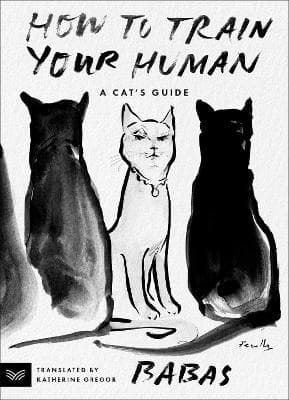 How to Train Your Human (Bok / Pocket)
