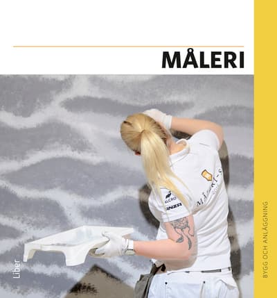 Maalaus (Kirja / Nidottu)