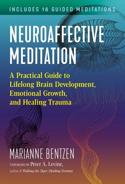 Neuroaffective Meditation (Bok / Häftad)