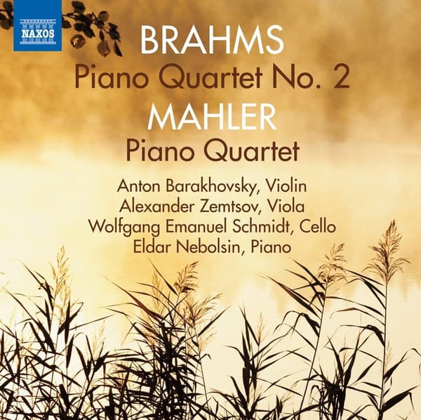 Brahms / Mahler: Pianokvartetit (CD)