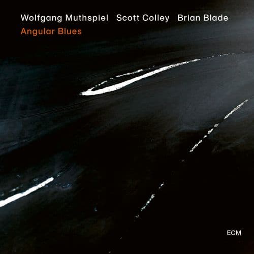 Muthspiel/Colley/Blade: Angular blues 2020 (CD)