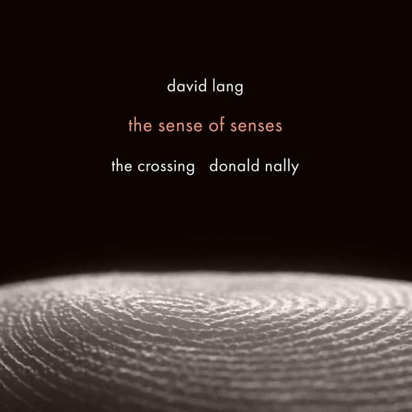 Lang David: The Sense of Senses (CD)